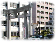 �Q���ʐ^�Q