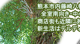 �F�{�s���̐V�����̓f���f�B�A����n�܂�